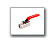 Plants: image 1 0f 4 thumb